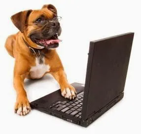 Great Falls Animal Hospital Picture 10