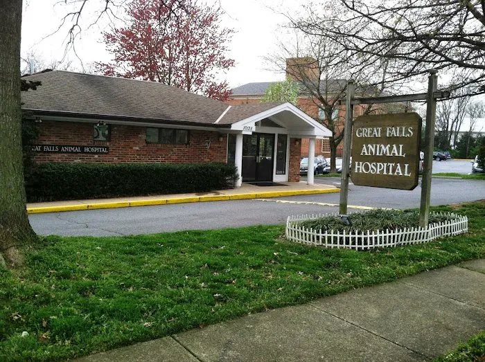 Great Falls Animal Hospital Picture 8