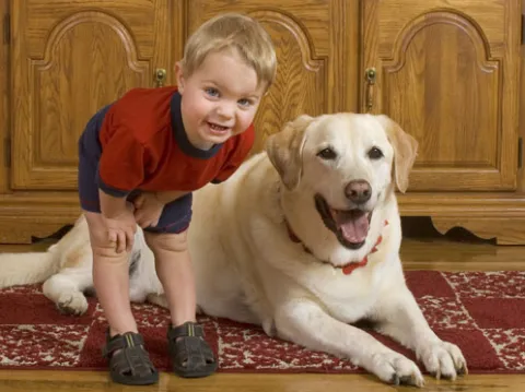 Great Falls Animal Hospital Picture 7
