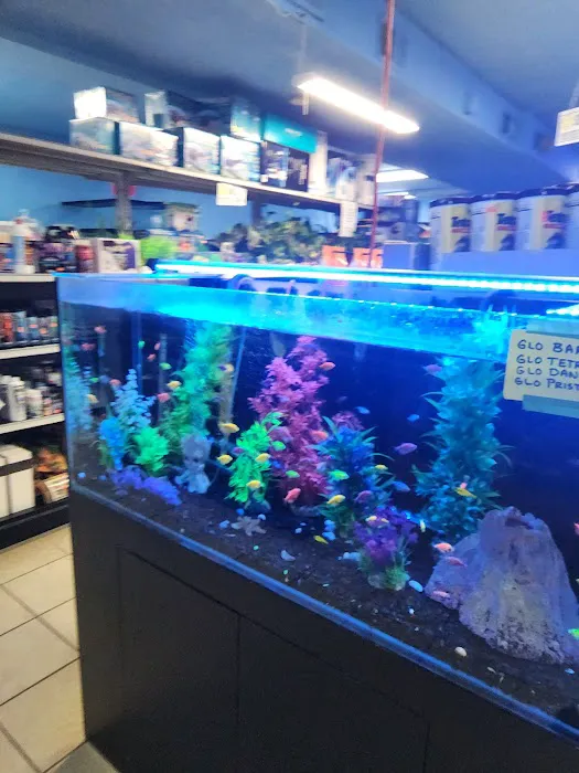 Three Little Fish Picture 3
