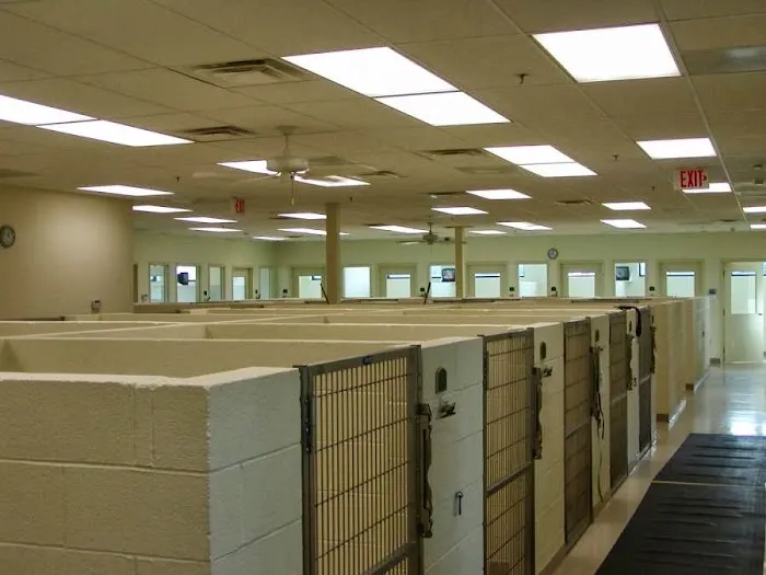 Seneca Hill Animal Hospital Resort & Spa Picture 2