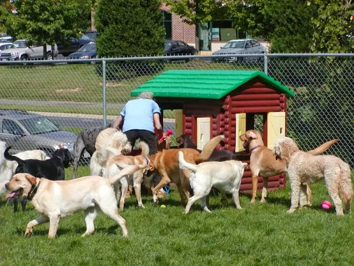 Seneca Hill Animal Hospital Resort & Spa Picture 1