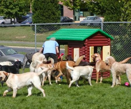 Seneca Hill Animal Hospital Resort & Spa