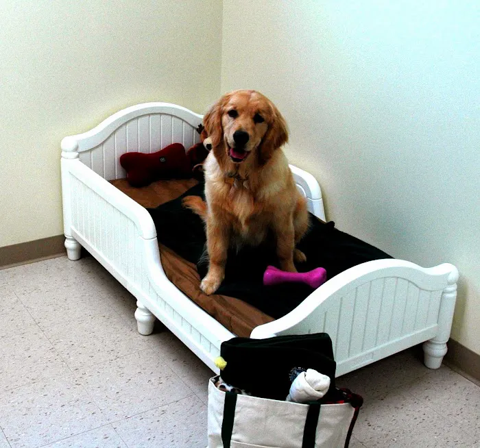 Seneca Hill Animal Hospital Resort & Spa Picture 8