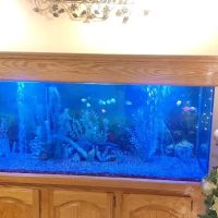 Aquarium Services LLC ico