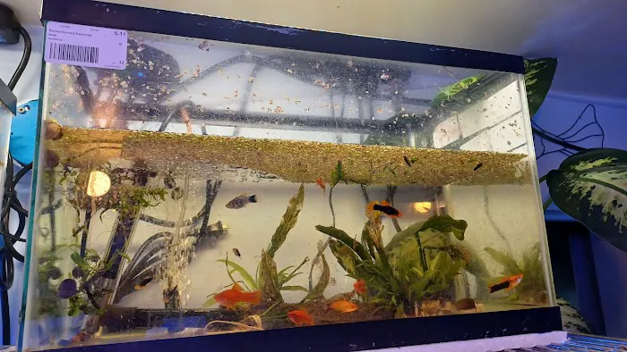 Aquarium Services LLC Picture 2