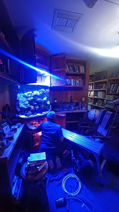 Aquarium Services LLC Picture 7