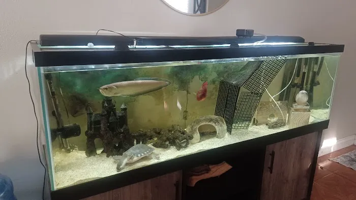 Aquarium Services LLC Picture 4