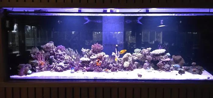 Aquarium Services LLC Picture 9