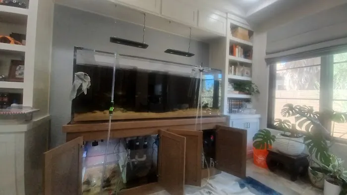 Aquarium Services LLC Picture 5