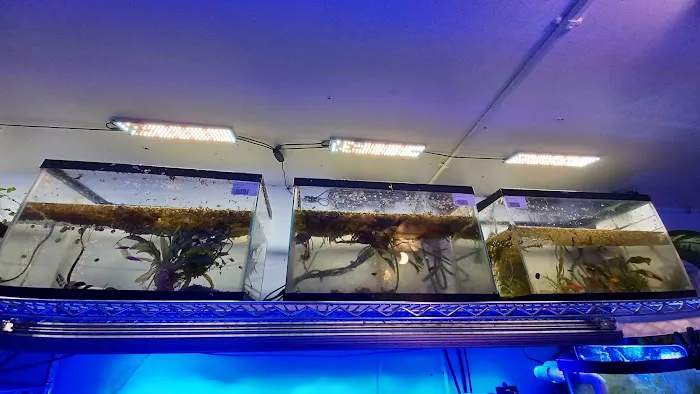 Aquarium Services LLC Picture 3