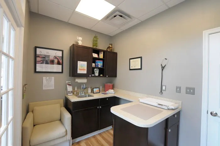 Just Cats Clinic Picture 4