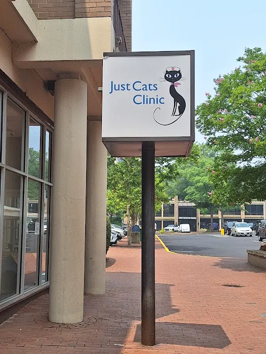 Just Cats Clinic Picture 10
