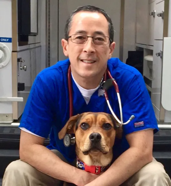 Vet In A Box - Mobile Veterinary Petcare Picture 6