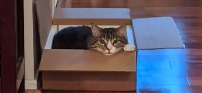Vet In A Box - Mobile Veterinary Petcare Picture 1