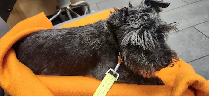 Banfield Pet Hospital Picture 1