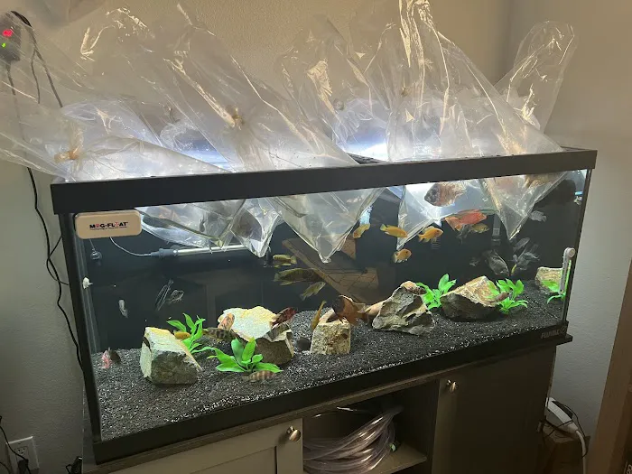 West coast cichlid supply LLC Picture 7