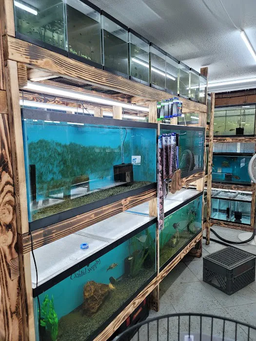 West coast cichlid supply LLC Picture 4