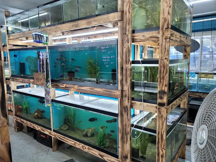 West coast cichlid supply LLC Picture 8