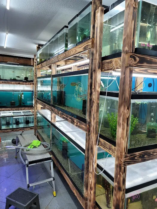 West coast cichlid supply LLC Picture 5