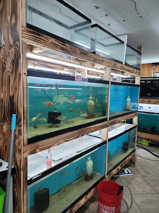 West coast cichlid supply LLC Picture 6