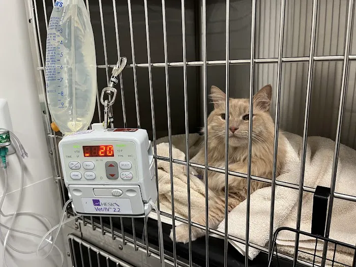 Veterinary Emergency Group Picture 8