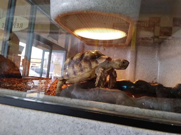 LLLReptile & Supply Menifee Picture 1