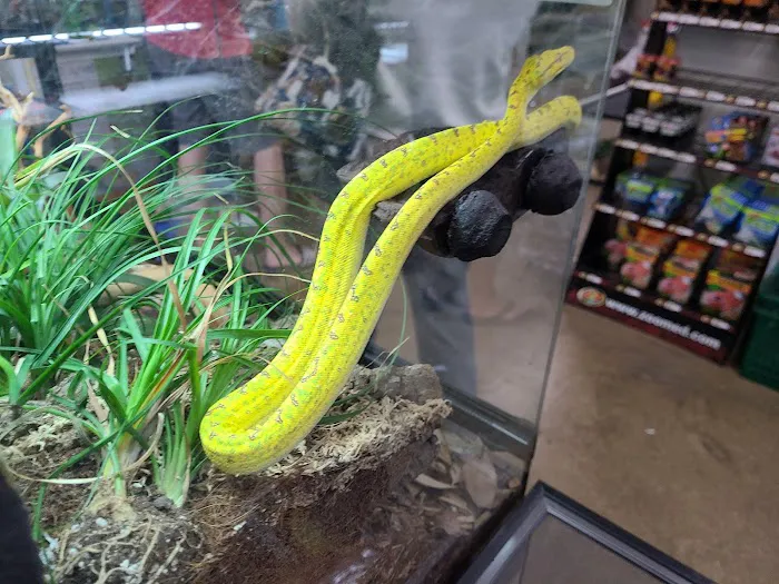 LLLReptile & Supply Menifee Picture 6