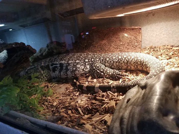 LLLReptile & Supply Menifee Picture 2