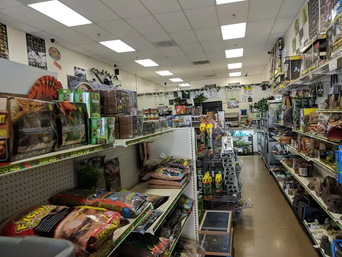 LLLReptile & Supply Menifee Picture 4