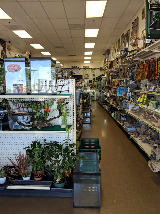 LLLReptile & Supply Menifee Picture 8