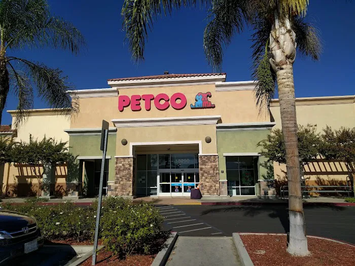Petco Picture 7