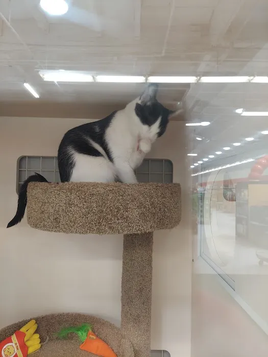 Petco Picture 8