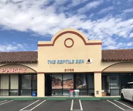The Reptile Den