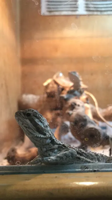 The Reptile Den Picture 2