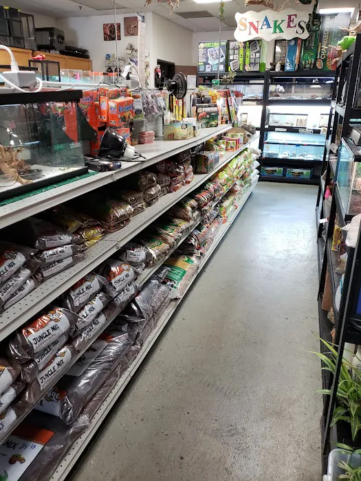 The Reptile Den Picture 9