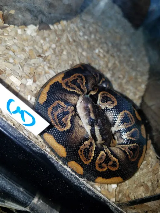 The Reptile Den Picture 4