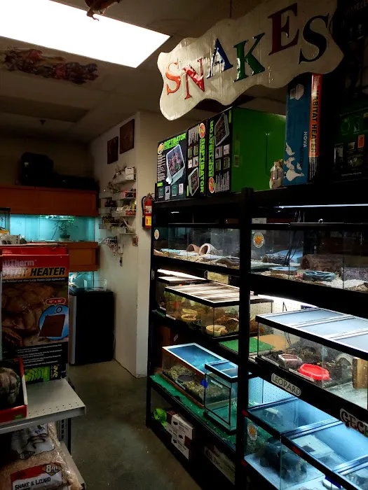 The Reptile Den Picture 8