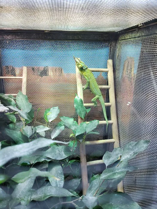 The Reptile Den Picture 10