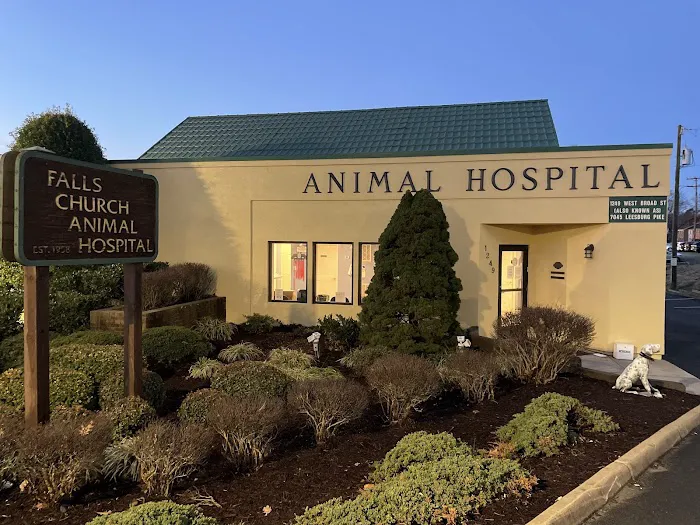 Falls Church Animal Hospital Picture 1