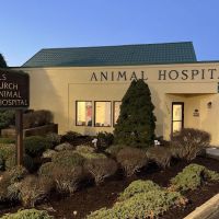 Falls Church Animal Hospital ico