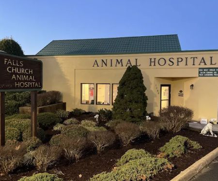 Falls Church Animal Hospital