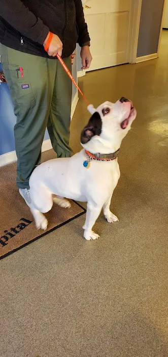Falls Church Animal Hospital Picture 9