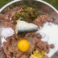 Devoured Pet Food ico