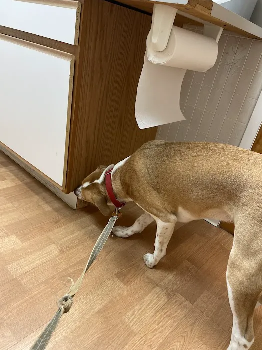 Tysons Corner Animal Hospital Picture 7
