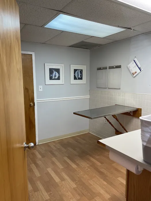 Tysons Corner Animal Hospital Picture 8