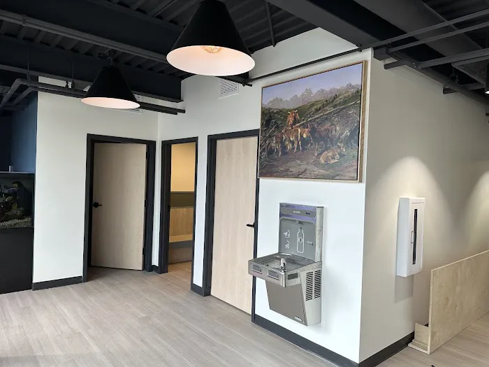 Tysons Corner Animal Hospital Picture 6
