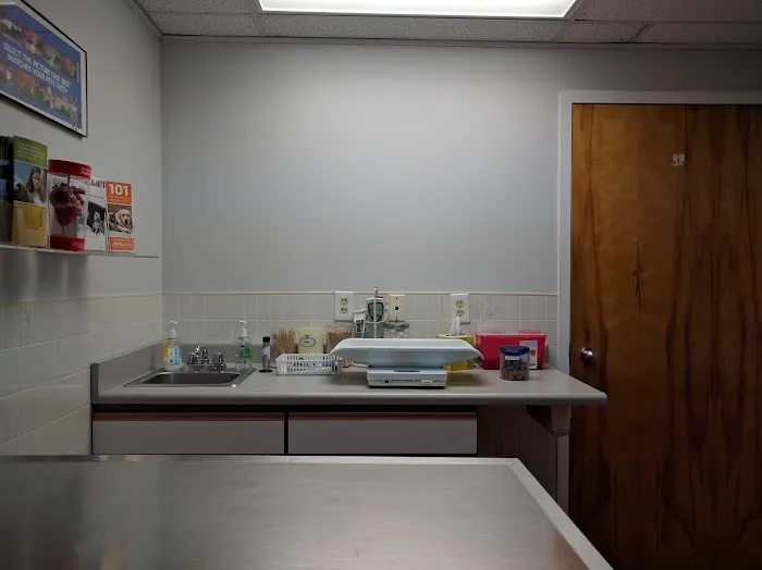 Tysons Corner Animal Hospital Picture 4
