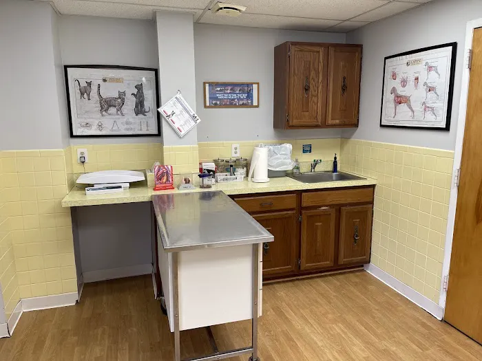 Tysons Corner Animal Hospital Picture 3