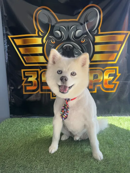 Top Dog Pet Store & Grooming Picture 6